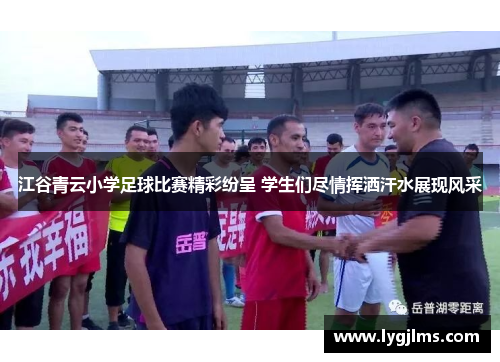 江谷青云小学足球比赛精彩纷呈 学生们尽情挥洒汗水展现风采