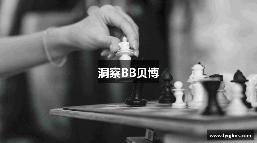 洞察BB贝博